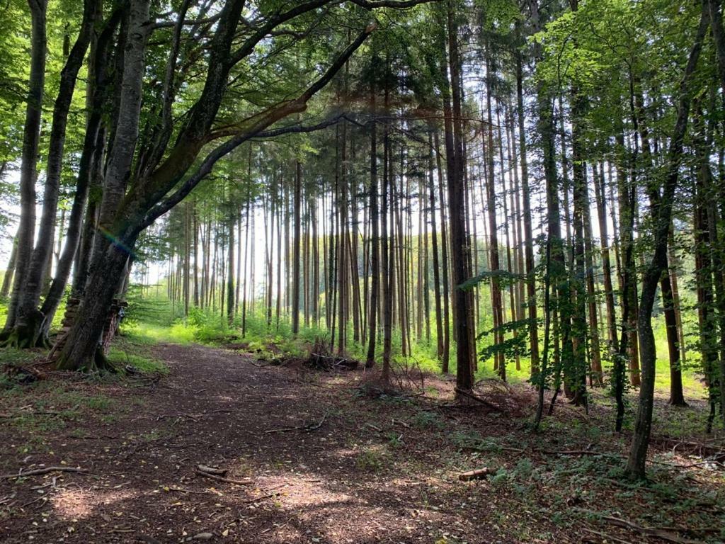 Zimmer Mit Bergblick ชตาร์นแบร์ก ภายนอก รูปภาพ